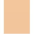 Shiseido Synchro Skin Self-Refreshing  30Ml 230 Alder  Spf30 Per Donna (Makeup)