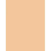 Shiseido Synchro Skin Self-Refreshing  30Ml 230 Alder  Spf30 Per Donna (Makeup)