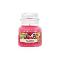 Yankee Candle Red Raspberry   104G    Unisex (Candela Profumata)