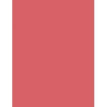 Rom&Nd Juicy Lasting Tint 5,5Ml    (Lip Gloss) Unisex  11 Pink Pumpkin