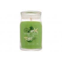 Yankee Candle Signature      567G Unisex (Scented Candle) Vanilla Lime