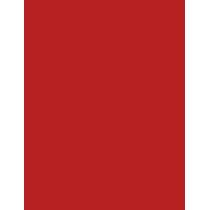 Sisley Phyto Rouge   3,4G 42 Rouge Rio   Per Donna (Rossetto)