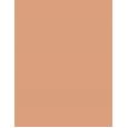 Shiseido UV Protective Compact Foundation  SPF30   Dark Ivory 12g(Makeup) Per Donna