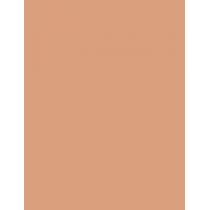 Shiseido UV Protective Compact Foundation  SPF30   Dark Ivory 12g(Makeup) Per Donna