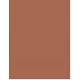 Inebrya Color      7/4 Blonde Copper 100ml(Hair Color) Unisex