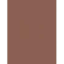 Maybelline Brow Tattoo   4,6G Medium Brown   Per Donna (Eyebrow Color)