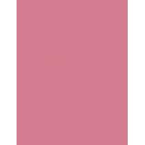 Shiseido ColorGel Lip Balm      107 Dahlia 2g(Lipstick) Per Donna