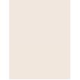 Inebrya Bionic Color Super Lighteners     11/0 Superlight Blonde Platinum 100ml(Hair Color) Unisex