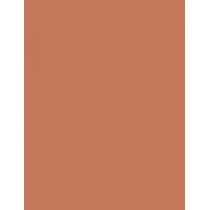 Estée Lauder Bronze Goddess   21G 02 Medium   Per Donna (Bronzer)