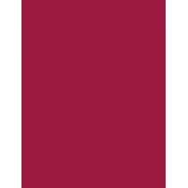 L'Oréal Paris Color Riche 1,2G    (Lip Pencil) Per Donna  2010 Laprune