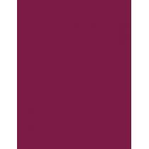 Rimmel London Lasting Provocalips  3,9Ml  Per Donna  (Lipstick) 16HR 440 Maroon Swoon