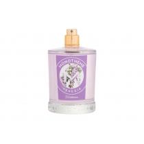 Monotheme Classic Collection Wisteria      100ml(Eau de Toilette)Senza confezione Per Donna