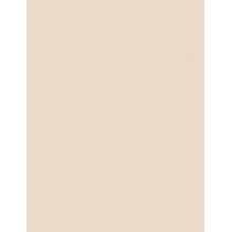 Dr. Hauschka Concealer   2,5Ml 01 Macadamia   Per Donna (Correttore)