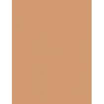 Clinique Beyond Perfecting      14,5G Per Donna (Makeup) Powder Foundation + Concealer