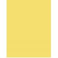 Shiseido MicroLiner Ink      06 Yellow 0,08g(Eye Pencil) Per Donna