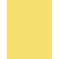 Shiseido MicroLiner Ink      06 Yellow 0,08g(Eye Pencil) Per Donna