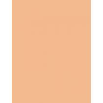 Bourjois Paris Always Fabulous 24H  30Ml 110 Light Vanilla  Spf20 Per Donna (Makeup)