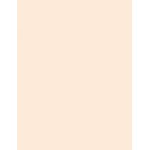 Maybelline Superstay 24H Skin Tint + Vitamin C 30Ml  Per Donna  (Makeup)  03