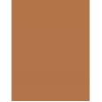 Shiseido Synchro Skin Correcting GelStick     401 Tan 2,5g(Corrector) Per Donna