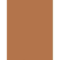 Shiseido Synchro Skin Correcting GelStick     401 Tan 2,5g(Corrector) Per Donna