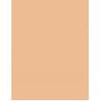 Shiseido Synchro Skin Radiant Lifting  SPF30   350 Maple 30ml(Makeup) Per Donna