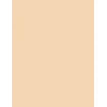 Shiseido Synchro Skin Self-Refreshing  SPF30   130 Opal 30ml(Makeup) Per Donna