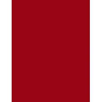 L'Oréal Paris Color Riche 1,2G    (Lip Pencil) Per Donna  300 Lerouge Paris