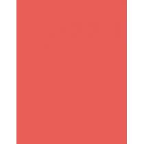 L'Oréal Paris Color Riche Lipcolour  3,6G 373 Magnetic Coral   Per Donna (Rossetto)