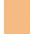 Shiseido Synchro Skin Self-Refreshing     304 Medium 5,8ml(Corrector) Per Donna