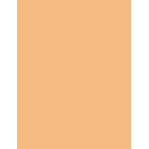 Shiseido Synchro Skin Self-Refreshing     304 Medium 5,8ml(Corrector) Per Donna
