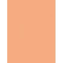 Bourjois Paris Healthy Mix      13Ml Per Donna (Corrector) Serum Clean & Vegan Roll-On Concealer