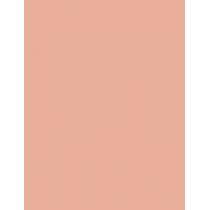 Max Factor Creme Puff   14G 81 Truly Fair   Per Donna (Polvere)