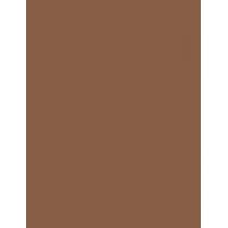 Nyx Professional Makeup Pro Fix Stick 1,6G Correcting Concealer   (Corrector) Per Donna  14 Sienna