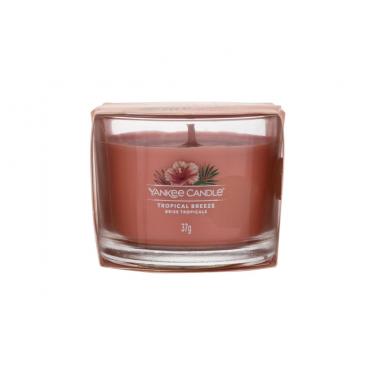 Yankee Candle Tropical Breeze   37G    Unisex (Candela Profumata)