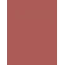 Shiseido Modernmatte 4G Powder Lipstick   (Lipstick) Per Donna  506 Disrobed