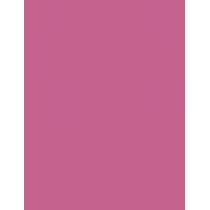 Nyx Professional Makeup Epic 1,21G Wear Liner Stick   (Eye Pencil) Per Donna  19 Pink Spirit